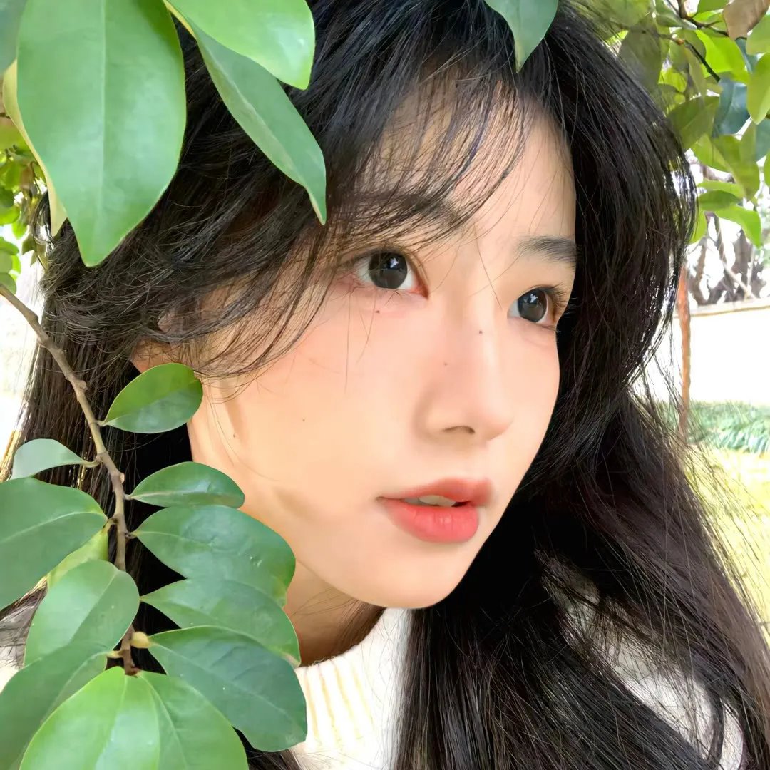 作家的谎言：笔忠诱罪国语